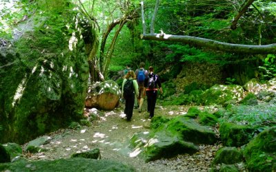 Erikli Yaylası & Şelalesi