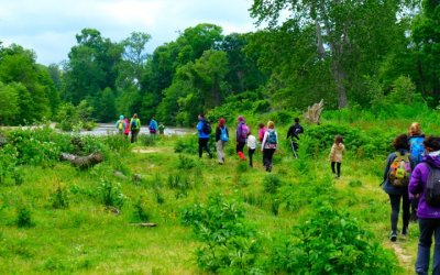 İğneada Longoz Ormanları